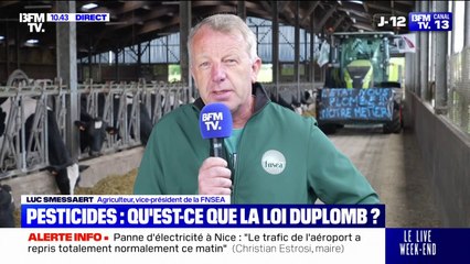 "On est en train de condamner notre agriculture française": Luc Smessaert (vice-président de la FNSEA) réagit à l'obstruction parlementaire de la loi Duplomb censée lever certaines contraintes