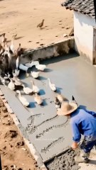 Ultimate Funny Pet Compilation – Best Animal Clips of the Month!