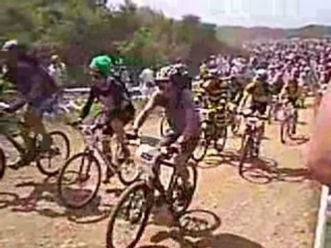 Départ crapauds 2008