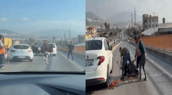 Çiftlikten kaçan deve kuşu ortalığı birbirine kattı