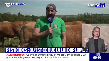 Colère agricole: "S'il faut bloquer toutes les frontières, on sera partants pour le faire", assure Jérôme Bayle