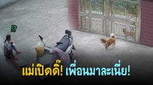 เมื่อเพื่อนหมามาเที่ยวบ้าน แม่เปิดประตูให้หน่อย