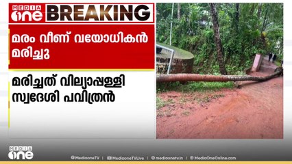 കോഴിക്കോട് വടകരയിൽ ഓടിക്കൊണ്ടിരുന്ന സ്കൂട്ടറിന് മുകളിൽ തെങ്ങ് വീണ് വയോധികന് ദാരുണാന്ത്യം