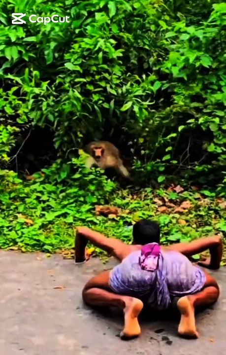 Man and Monkey