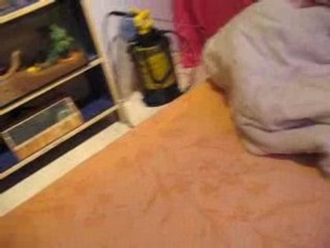 Ma furette, Candice [1]