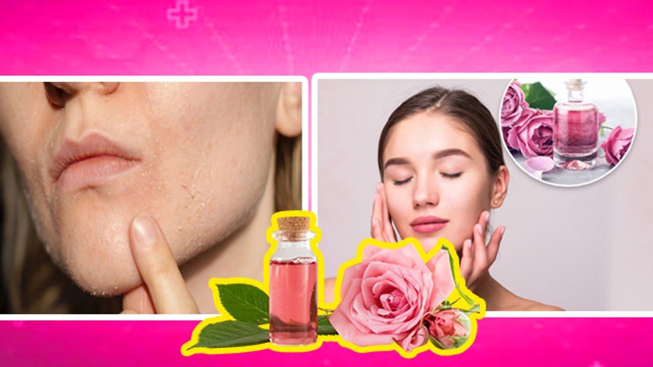 Is Rose Water Good For Daily Use: रोजाना चेहरे पर गुलाब जल लगाने से क्या होता है, Benefits In Hindi