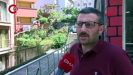Bunu yapanlar insan! Zonguldak'ta karın bölgeleri kesilip iç organları çıkarılmış 2 ölü kedi bulundu