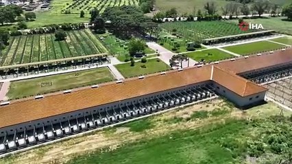 Bu sevimli miniklerinin fiyatı dudak uçuklattı: Sahip olmanız için sadece para da yetmiyor!