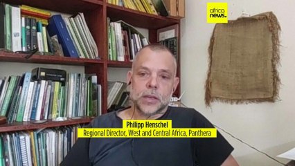 Elephant spotted in Senegalese park gives hope to conservationists