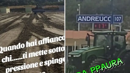 I video che Lerry Gnoli condivideva su TikTok: i lavori in spiaggia sulla ruspa, anche poco prima l'incidente di Elisa Spadavecchia