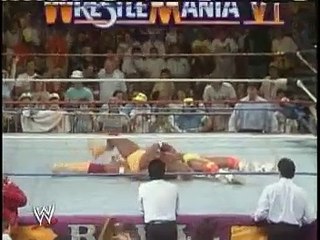 Ultimate Warrior vs Hulk Hogan-Wrestlemania 6