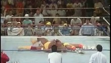Ultimate Warrior vs Hulk Hogan-Wrestlemania 6