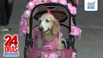 ONLINE EXCLUSIVE: Mga furbaby, nagpabonggahan sa "Furries de Mayo"