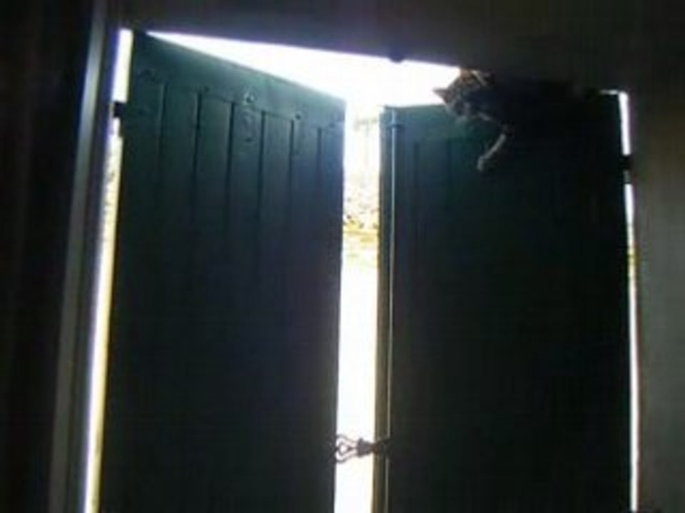 felix l'acrobate