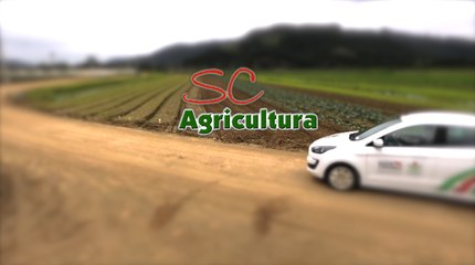 Confira a íntegra do programa SC Agricultura deste sábado (24)!