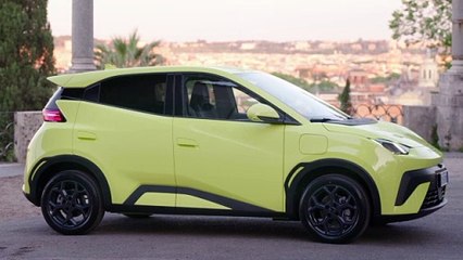 Byd Dolphin Surf (Extérieur)