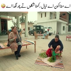 اے منڈا کون ہے خیال رکھنا شکلوں تے چور لگدا اے , Very beautiful funny , Hareem Amjad