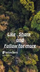 Motivation Isn’t Magic—It’s a Mind Game DreamBigger #ProductivityHacks #MotivateYourself #GetItDone