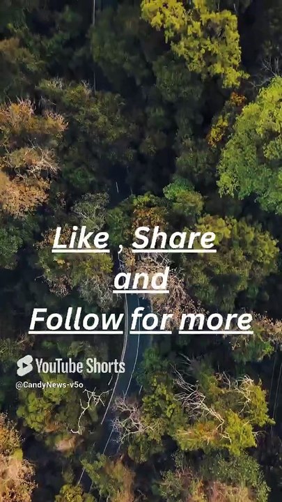 Motivation Isn’t Magic—It’s a Mind Game DreamBigger #ProductivityHacks #MotivateYourself #GetItDone