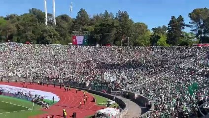 Adeptos Sporting