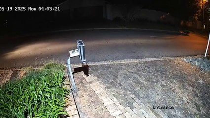 Un braquage complètement raté