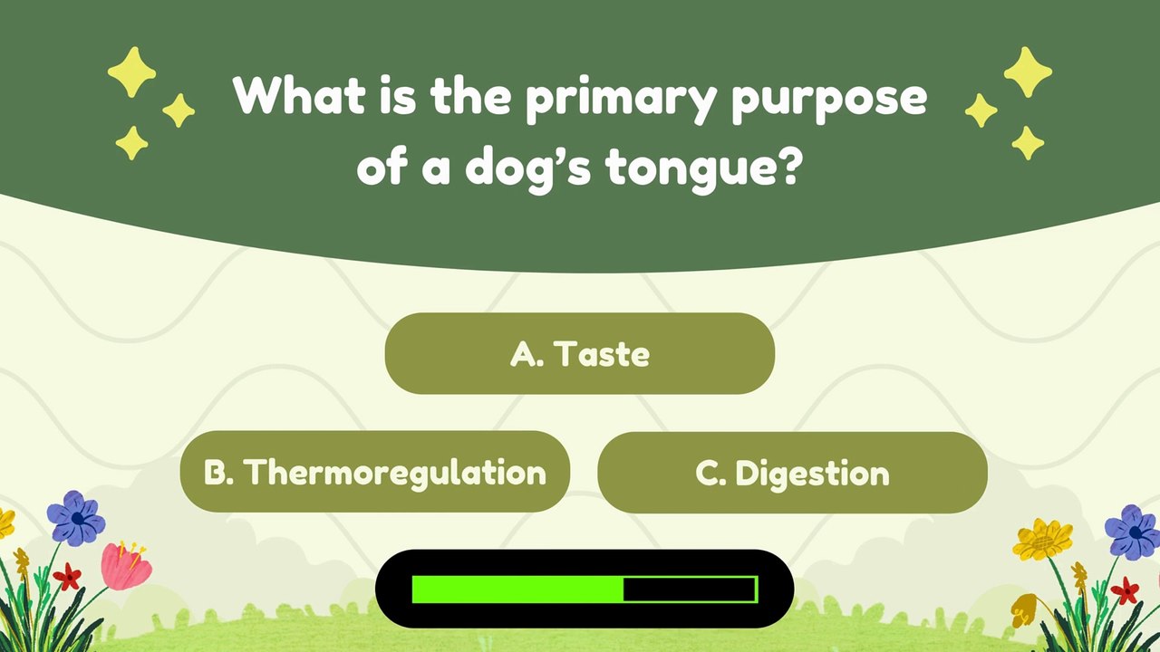 Dog Tongue Quiz: 8 Questions Only TRUE Dog Owners Can Ace! 🐶 | USA Pet Trivia Short
