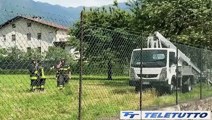 Video News - Darfo, folgorato mentre raccoglie ciliegie: gravissimo