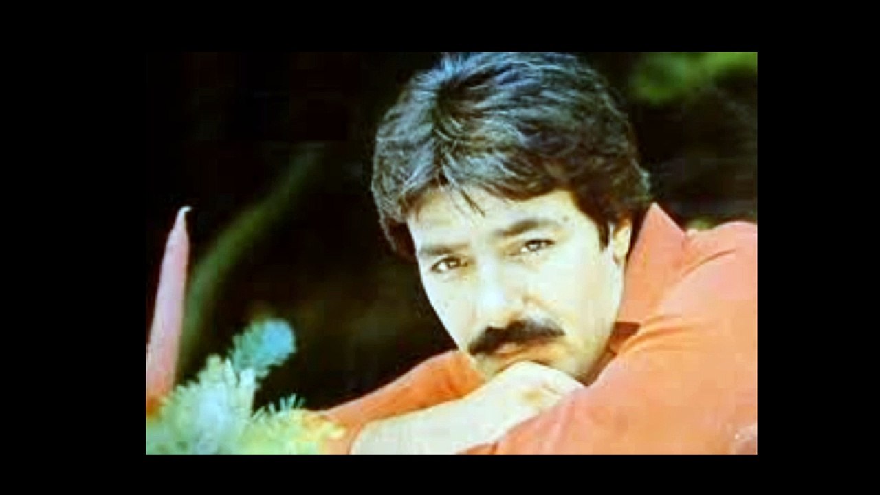 1974 Ferdi Tayfur - Bitmeyen Cile