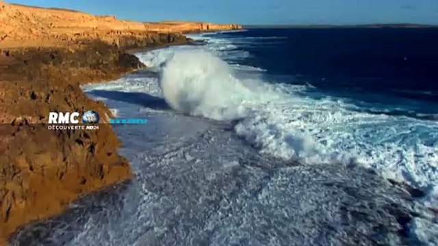 Planète Océan - Bande annonce