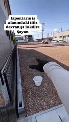 Japonya ve Ordu arasında gözle görülemeyecek minimal farklar 😂