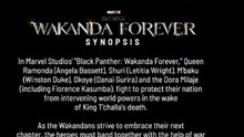 Scénario Black Panther Wanda forever