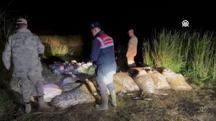 İnci kefallerini kaçak avlayanlara 621 bin 553 lira ceza!