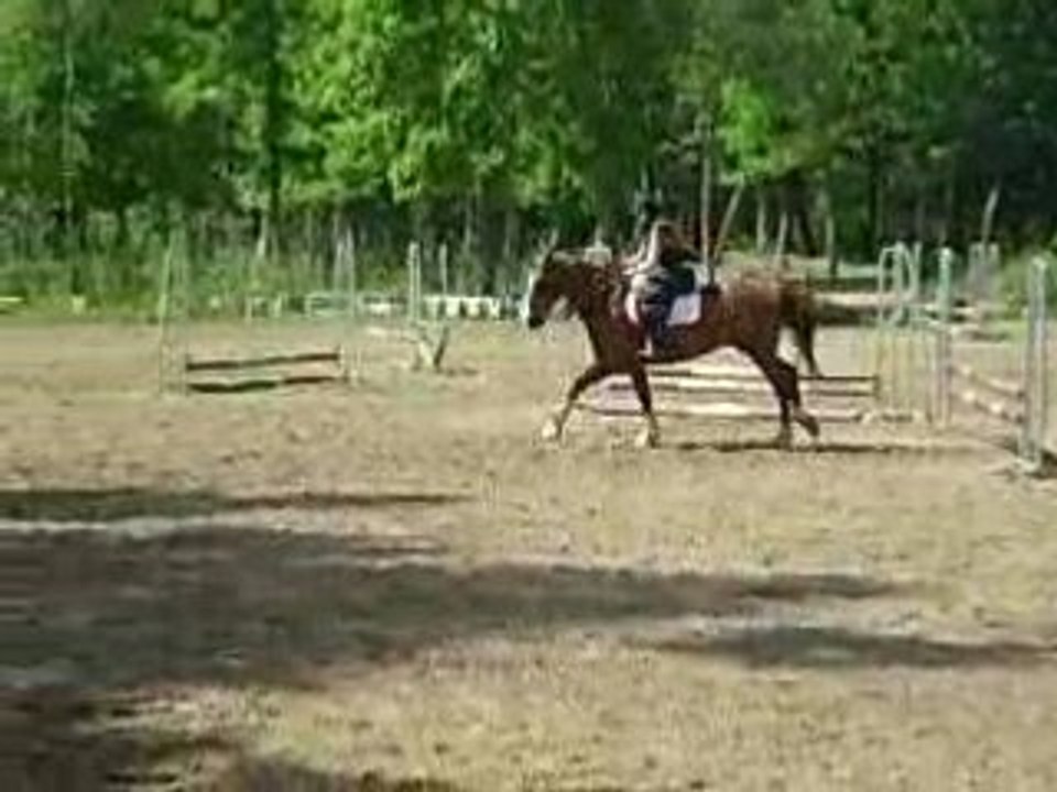 petit saut avec texas XD