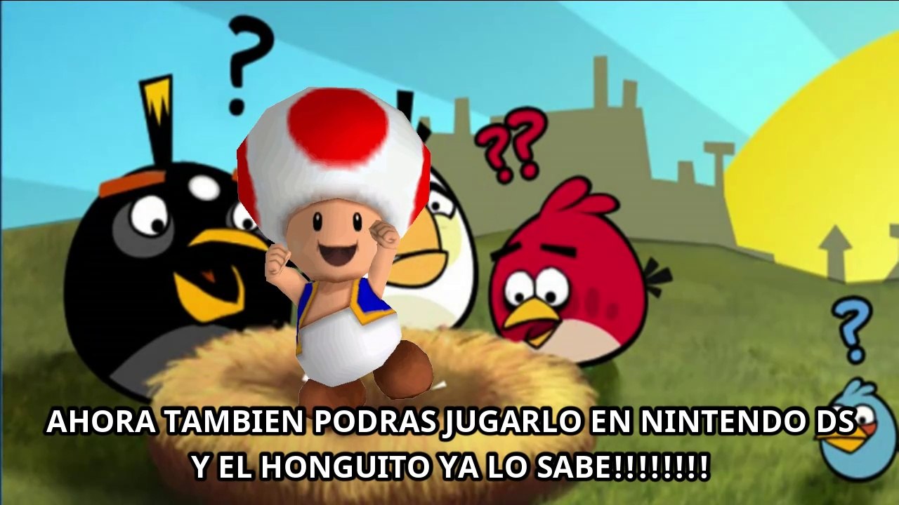 ANGRY BIRDS DS EDITION TAMBIEN EN DSI, 2DS, 3DS HOMEBREW APP R4 DEMO Ez Flash Parallel TWiLight Menu++