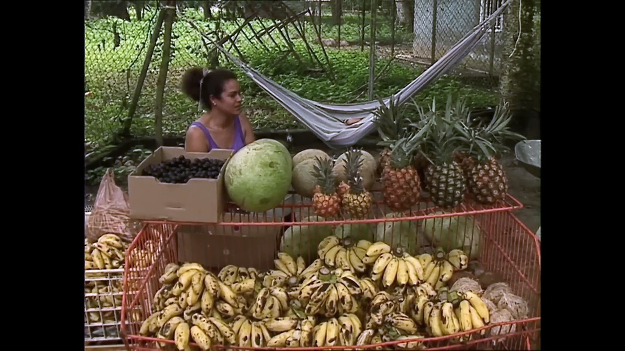 Venezuela  La Montagne du Sort, cœur mystique de la nation  - Traditions - Documentaire – AMP