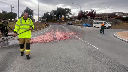 Animal offal has spilled on Borella Road in East Albury, near Schubach Street.