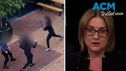 Victoria’s machete ban fast-tracked after shopping centre gang brawl