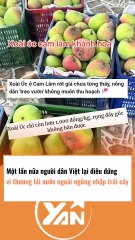 Người dân Việt điêu đứng vì thương lái nước ngoài ngừng nhập trái cây