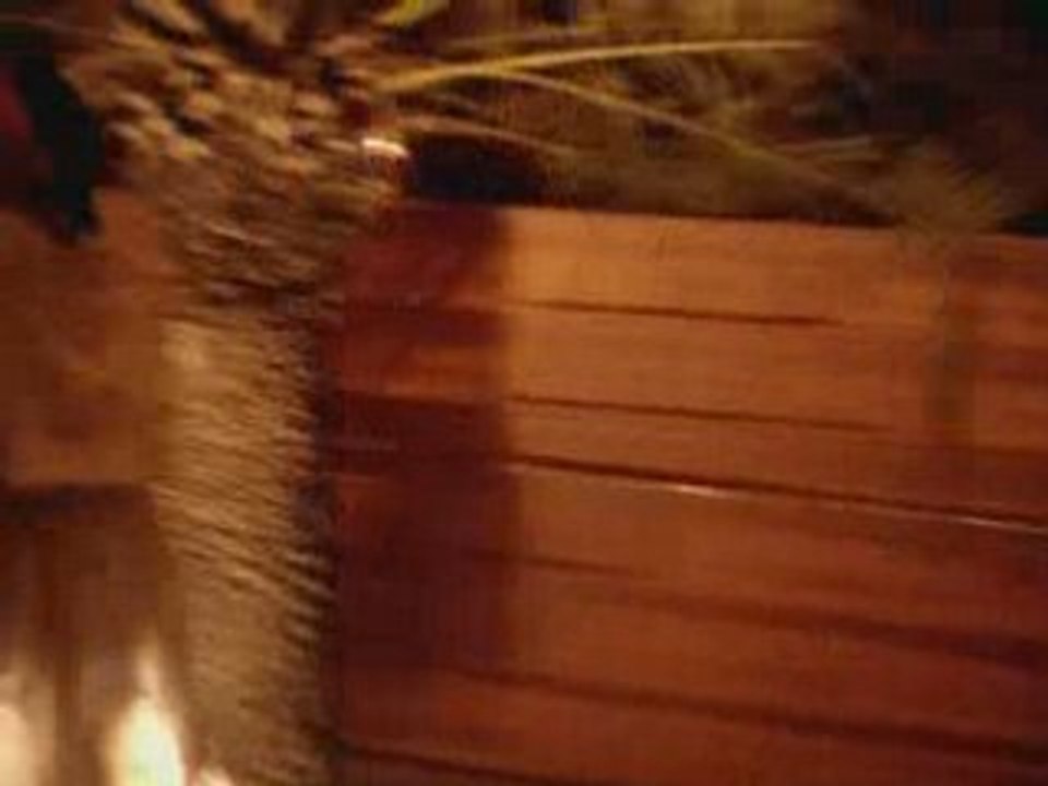 Gages à Marrakech (suite)