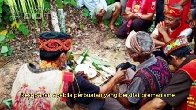 Ketua Mejelis Hakim Adat Dayak Nasional, Askiman, dukung Pemerintah bentuk Satgas Berantas Premanisme, mesti turut tumpas aksi premanisme berkedok bisnis hukum adat Dayak di Pulau Borneo