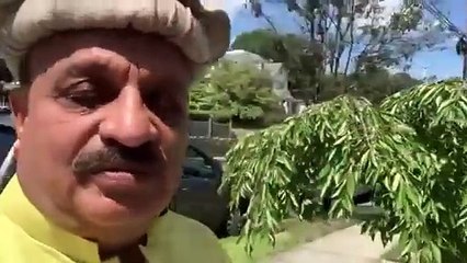 Pakistan Independence Day - Parade and Culture Festival _ Turkey Brook Park, Budd Lake, New Jersey