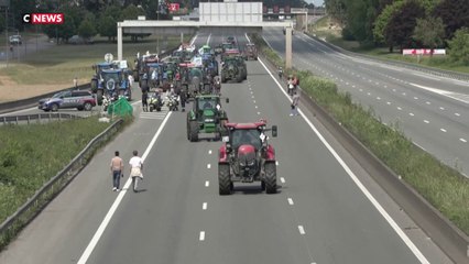 Loi Duplomb : la colère des agriculteurs ravivée