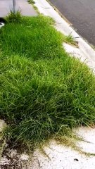 #cleaningasmr#cuttinggrass#cleaninghouse#satisfying#cleaninggarden#cleaningsatisfying#uncloggingdrains#homecleaning#housecleaning#asmrsleep#asmrsleeprelax
