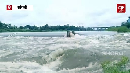 सांगली जिल्ह्यात पावसाची संततधर कायम; कृष्णा, वारणा आणि येरळा नद्या दुथडीवरून वाहू लागल्या