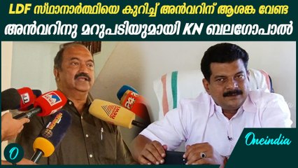 നിലമ്പൂരിൽ LDF നു പ്രതീക്ഷ, കോൺഗ്രസിനെ സഹായിച്ച പാർട്ടിയാണ് BJP | KN Balagopal's Reply to PV Anvar