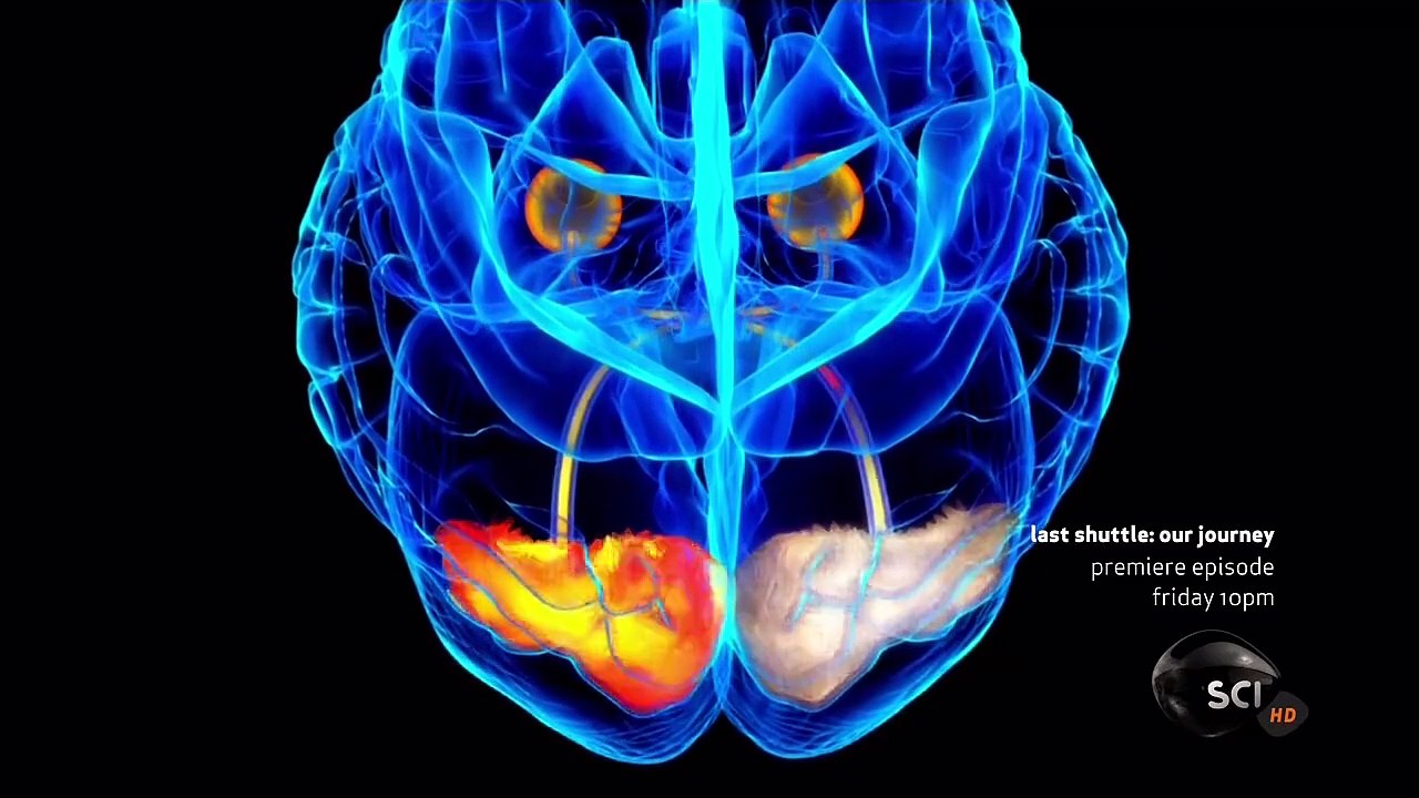 Through The Wormhole Season 2 Episode 5 Is There A Sixth Sense? | Morgan Freeman