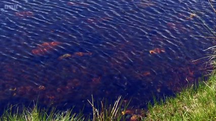 Wainwright Walks episode 7