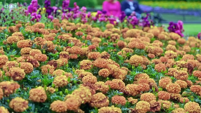 Antiques Roadshow 2025 - Botanic Gardens Belfast 3