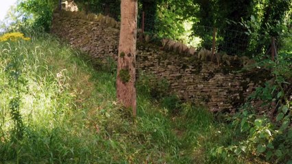 Hidden Treasures of the National Trust 2025 episode 3