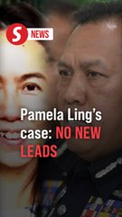 No new leads in Pamela Ling's disappearance, say police